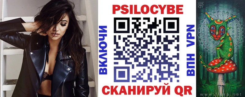 где купить наркоту  Мирный  Псилоцибиновые грибы Psilocybine cubensis 
